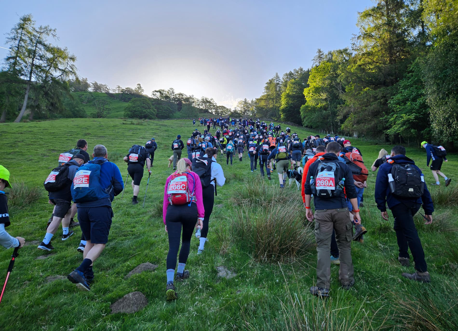Colleagues on a charity walk
